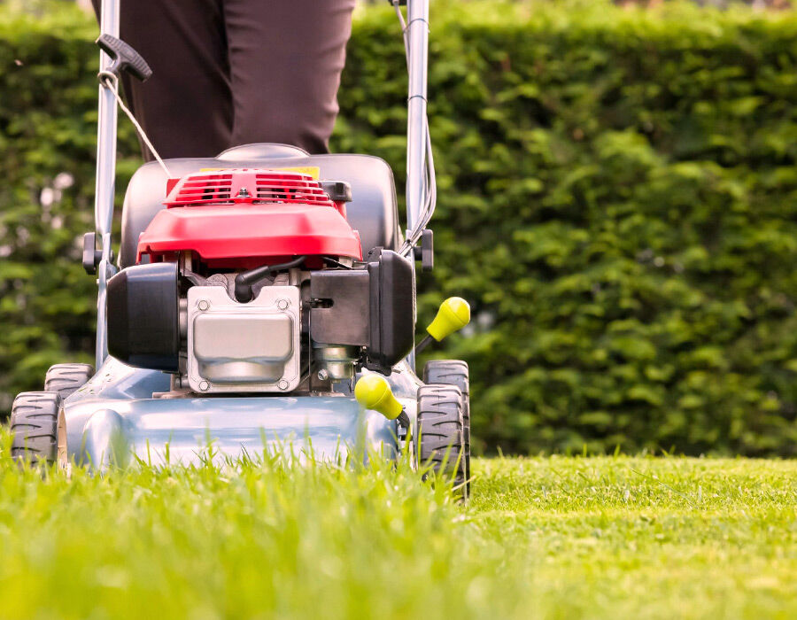 Become a Landscape Designer